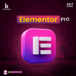 Elementor Pro