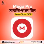 Mega Pro Subscription