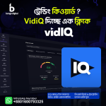 VidIQ Premium